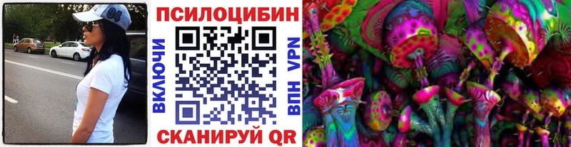 Галлюциногенные грибы Magic Shrooms  Купить где  Данилов 